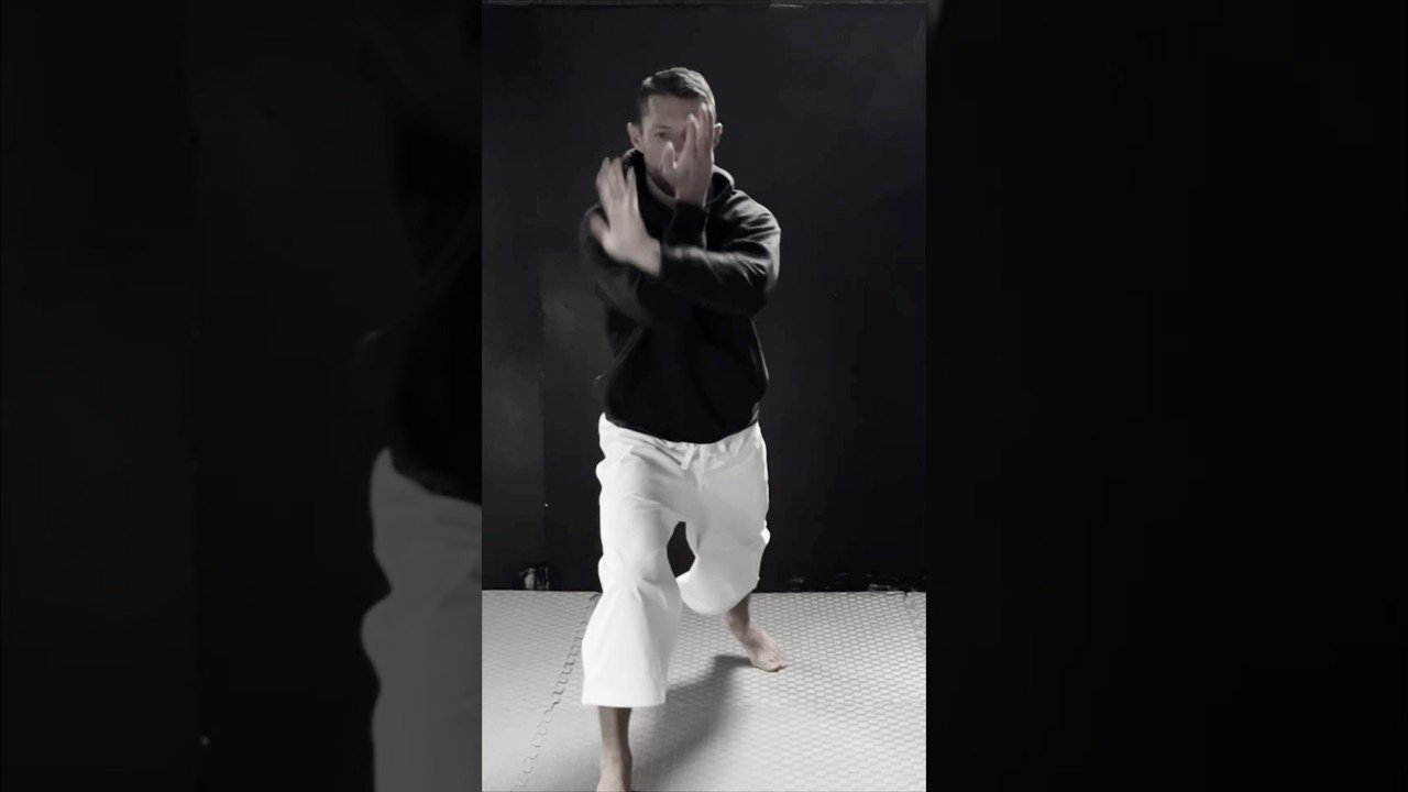 tai chi chuan