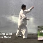 tai chi chuan