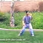 tai chi chuan