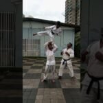 tai chi chuan