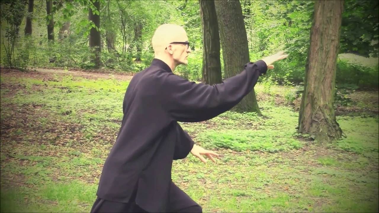 tai chi chuan