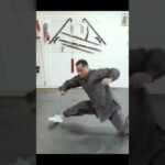 baguazhang