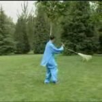 baguazhang spear