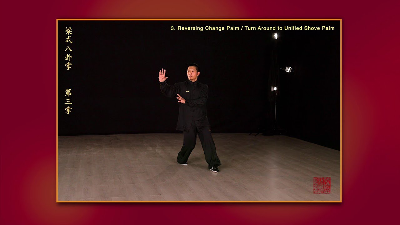 baguazhang