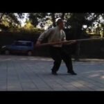 baguazhang spear