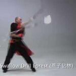 baguazhang staff