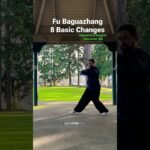 baguazhang