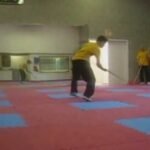 baguazhang spear