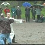 baguazhang spear