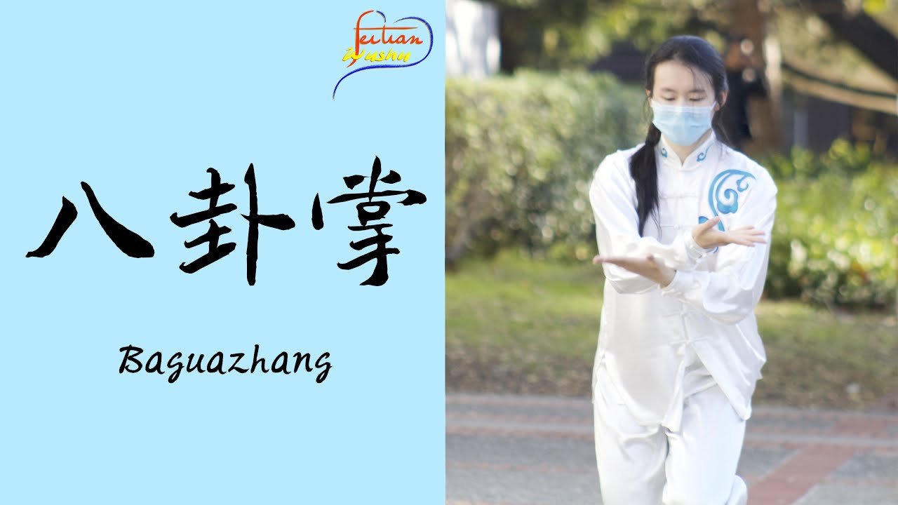 baguazhang spear