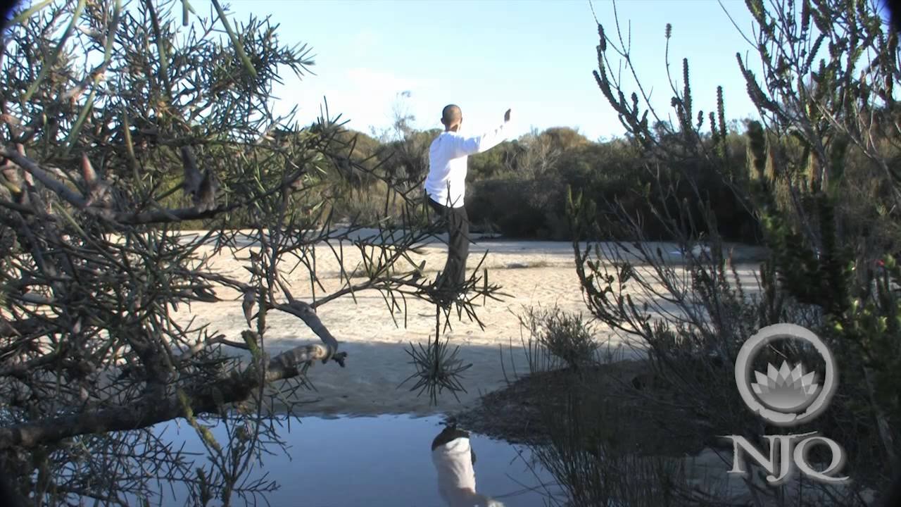 baguazhang staff