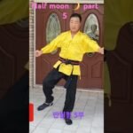 tai chi chuan