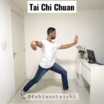 tai chi chuan