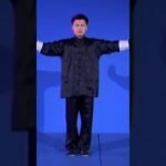 tai chi chuan