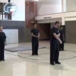 tai chi chuan