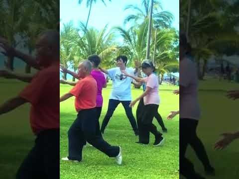 tai chi chuan