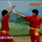 baguazhang spear