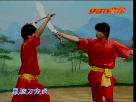 baguazhang spear