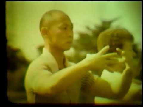 tai chi chuan