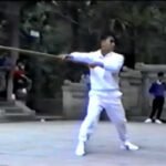 baguazhang spear