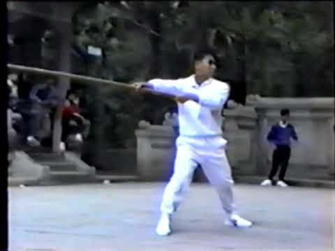 baguazhang spear