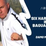 baguazhang dao