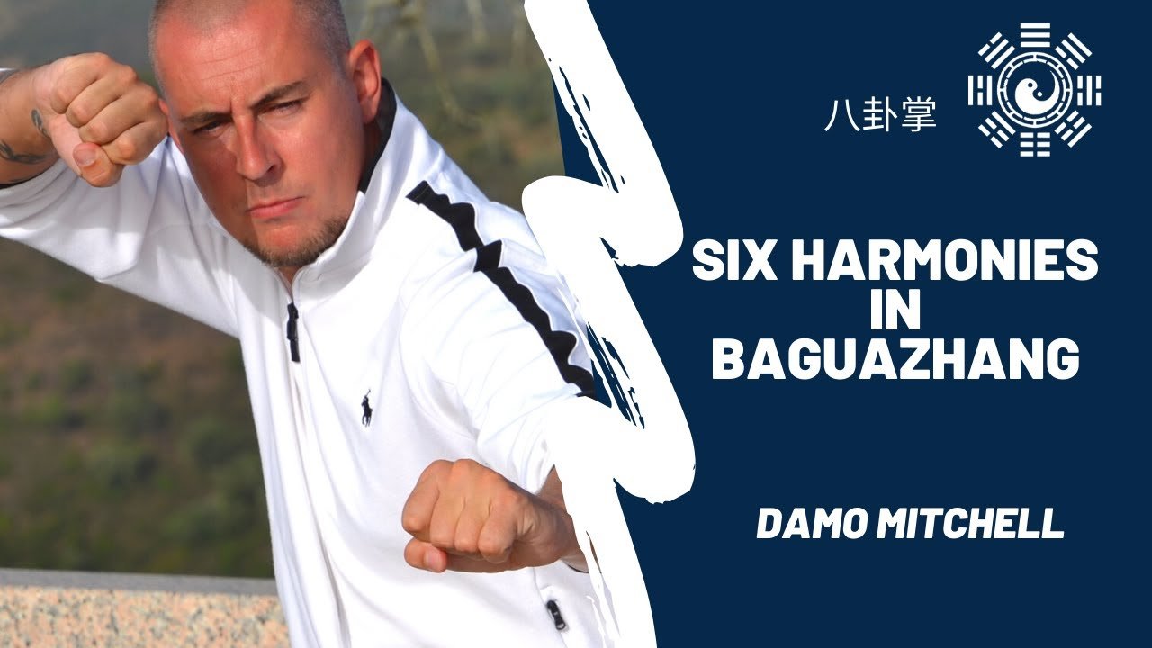 baguazhang dao