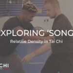 tai chi chuan