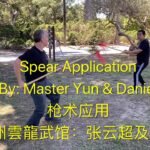 baguazhang spear