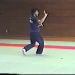 baguazhang