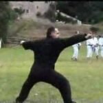 baguazhang deer horn