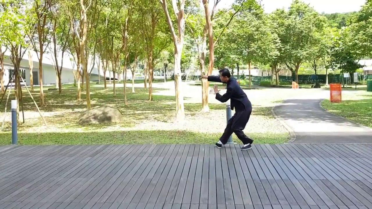 baguazhang spear