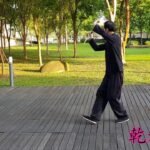 baguazhang spear