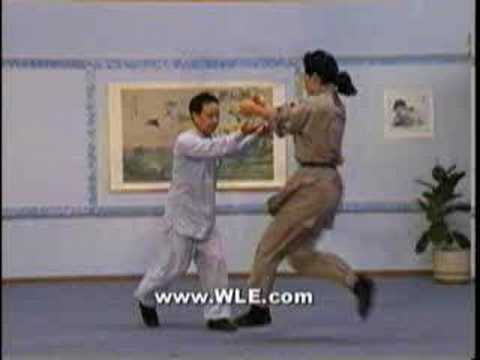 tai chi chuan