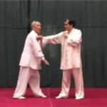 baguazhang dao