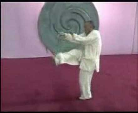 baguazhang spear