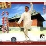 baguazhang spear