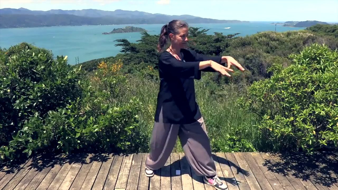 tai chi chuan