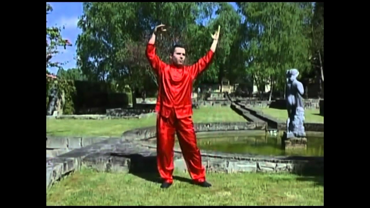 tai chi chuan