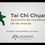 tai chi chuan