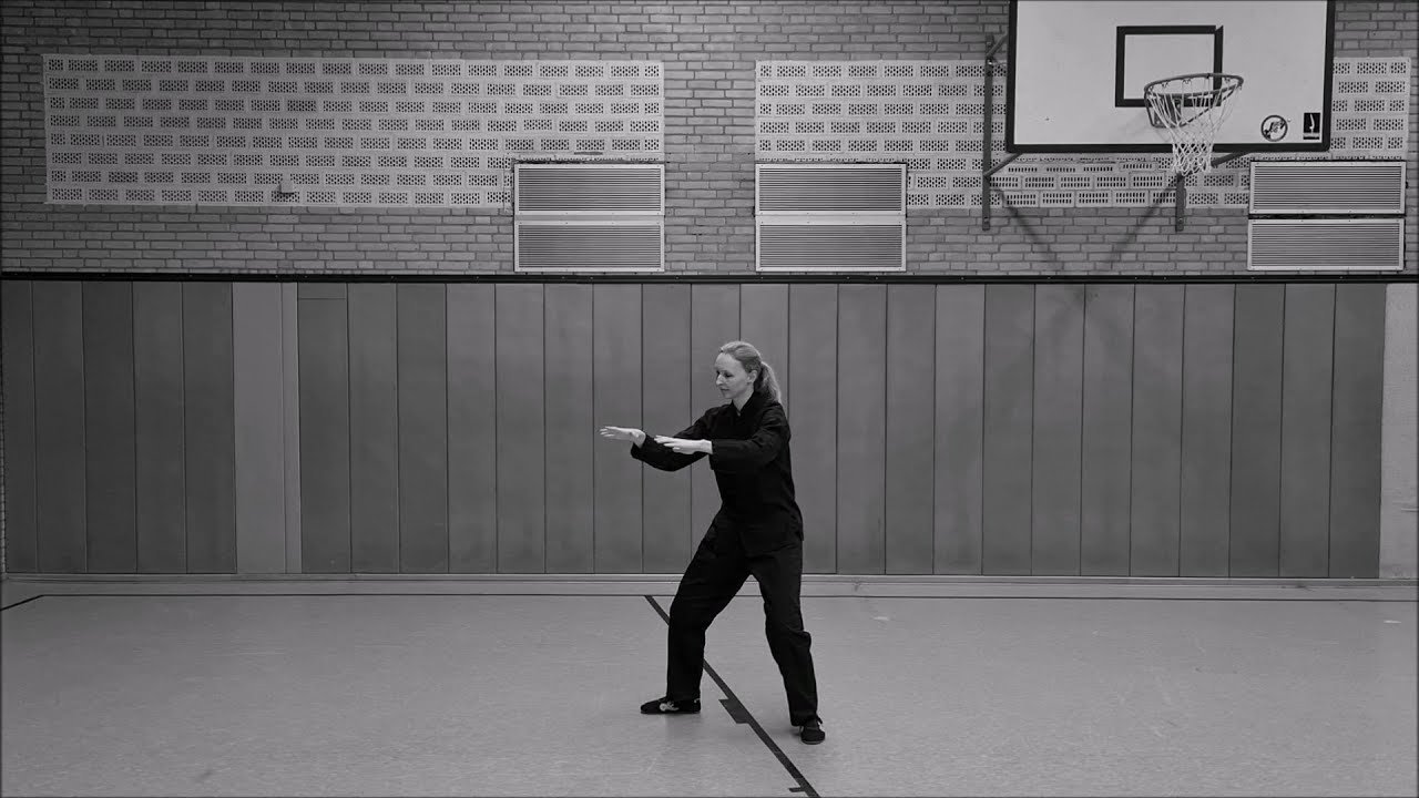 tai chi chuan