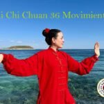 tai chi chuan