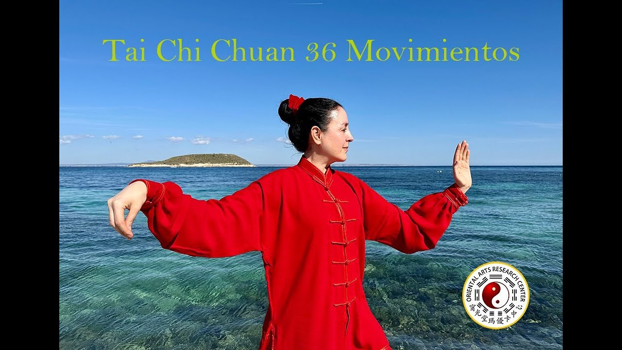 tai chi chuan