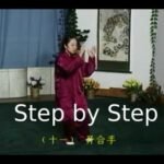 tai chi chuan