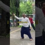 tai chi chuan