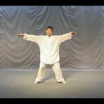 tai chi chuan