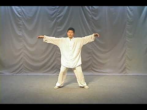 tai chi chuan