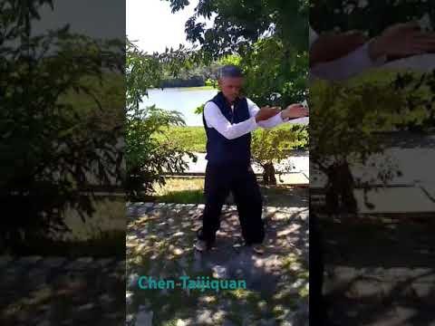 tai chi chuan