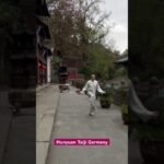 tai chi chuan