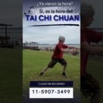 tai chi chuan